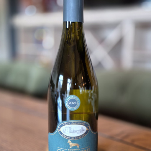 Collavini Pinot Grigio 0,75l