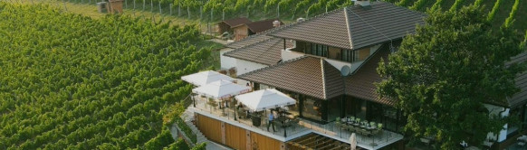 Vinarija Tarpoš