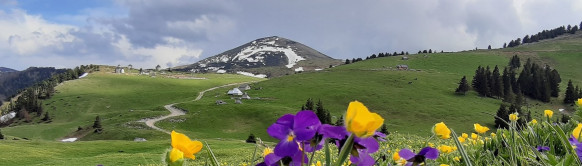 Turistička organizacija Bijelo Polje
