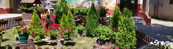 Turistička organizacija opštine Žagubica