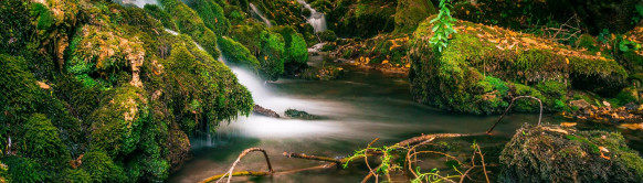 Izletište Mirovštica