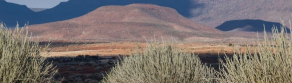 Turistička zajednica Namibije