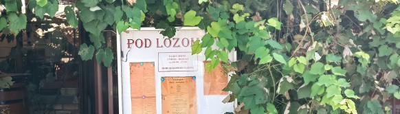 Kafana Pod lozom 78