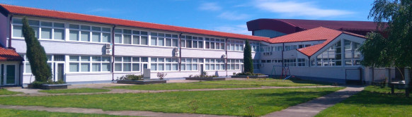 Osnovna škola ,,Branko Radičević''