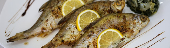 Restoran Vilin Konjic