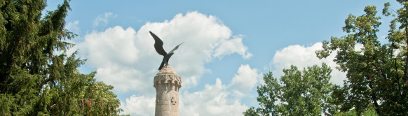 Turistička organizacija Pirot