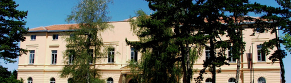 Spomenik vojvodi Živojinu Mišiću