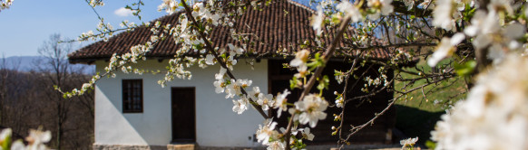 Rodna kuća vojvode Živojina Mišića