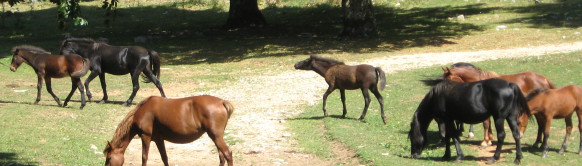 Izletište "Tri lokve"
