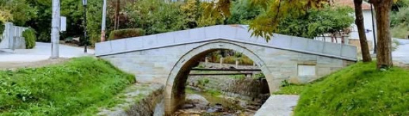 Turistička organizacija Vranje