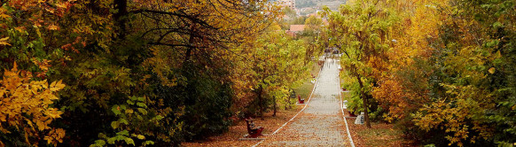Park šuma Kraljevica
