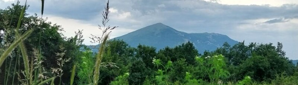 Turistička organizacija opštine Boljevac