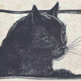 Kotorski Muzej mačaka