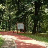 Trim staza Košutnjak