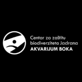 Akvarijum Boka