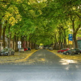 Ulica Generala Drapšina