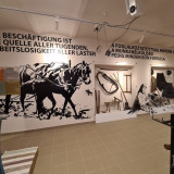 Muzej Podunavskih Švaba