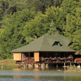 Restoran "Ada Safari"