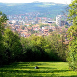 Park šuma Kraljevica