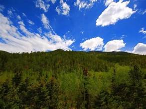 Spomen-kosturnica na Ceru