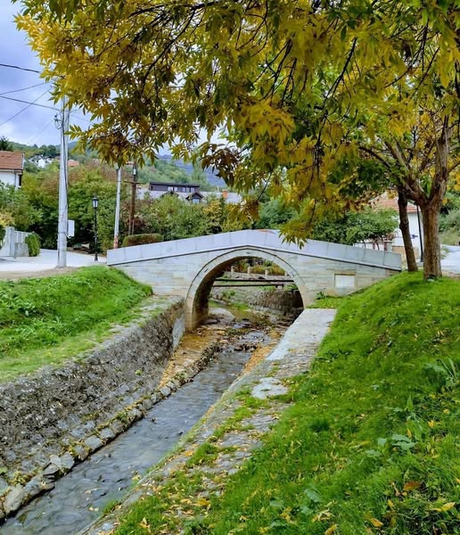 Turistička organizacija Vranje