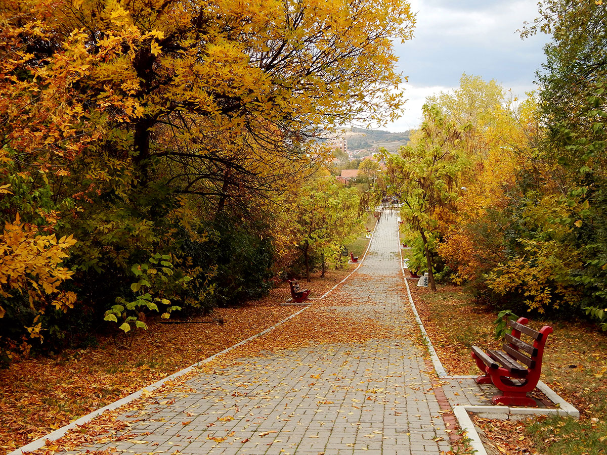 Park šuma Kraljevica