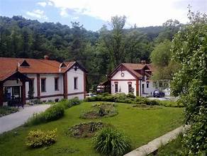Brestovačka banja