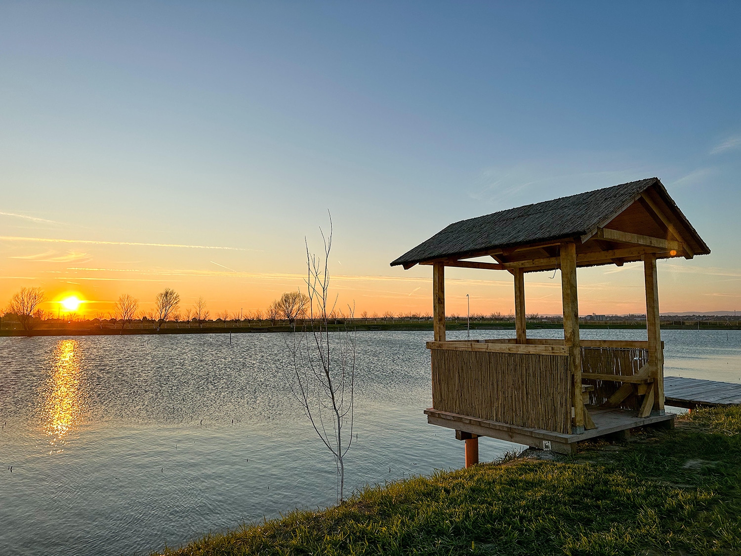 Golden Carp lake