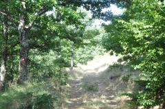 Park prirode Radan